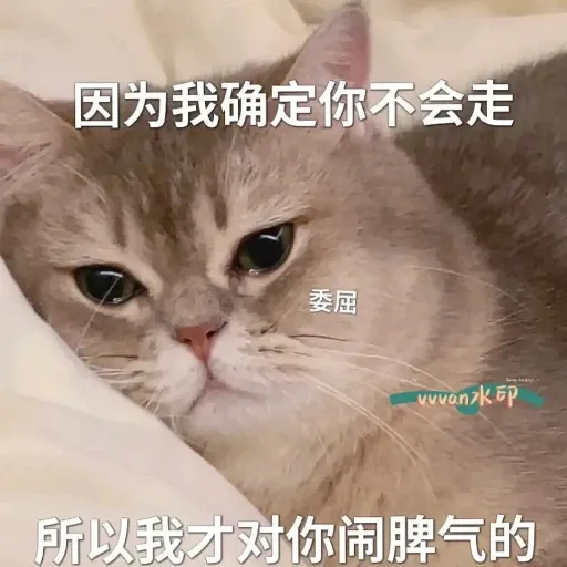 meow4 - Sticker 18