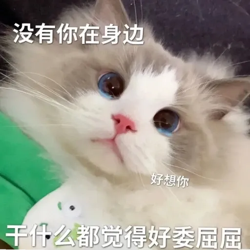 meow4 - Sticker 20