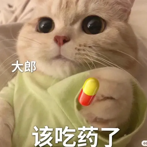 meow4 - Sticker 15