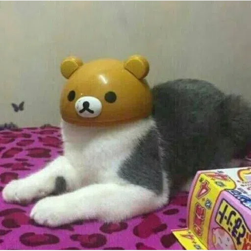 Cat 3 - Sticker 11