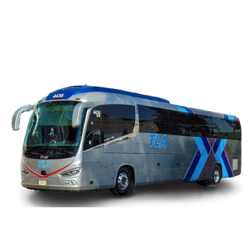 Buses - Sticker 9