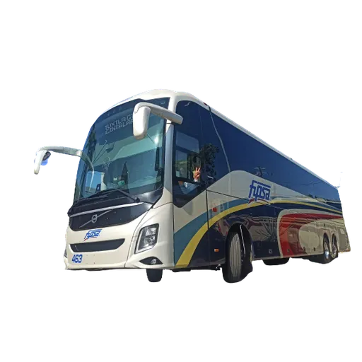 Buses - Sticker 16
