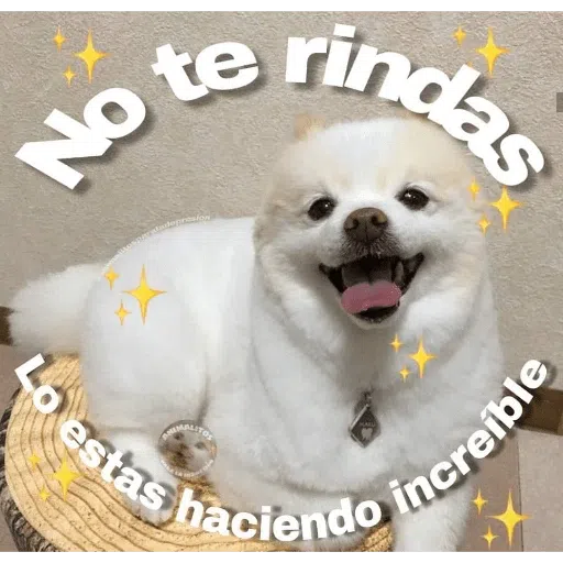 Stickers 1 - Sticker 10