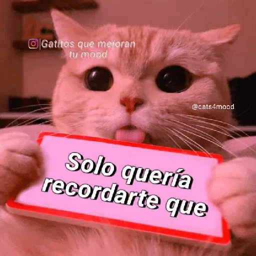 Stickers 1 - Sticker 14