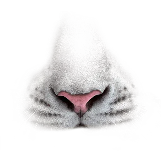 Animal Faces Masks - Sticker 24