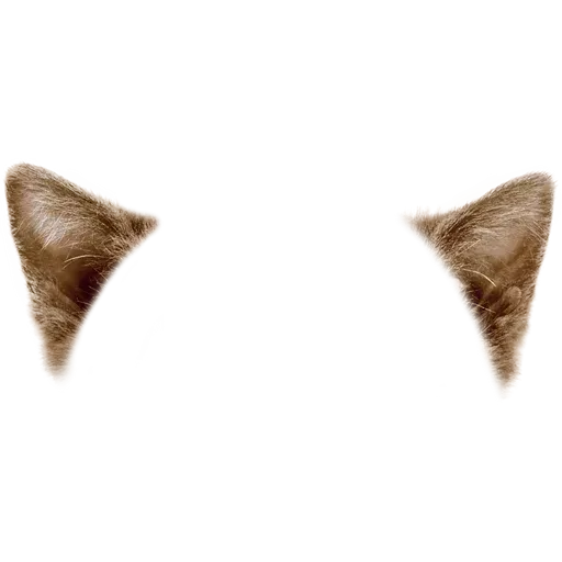 Animal Faces Masks - Sticker 11