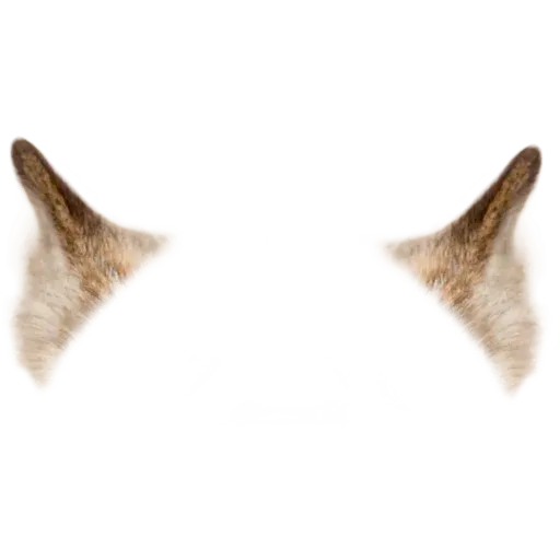 Animal Faces Masks - Sticker 21