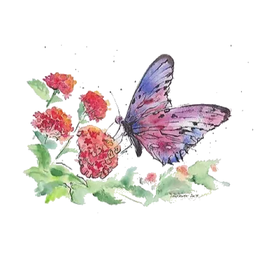 Color - Sticker 21