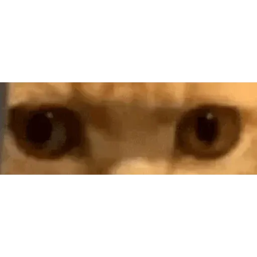 Cat 3.0 - Sticker 9