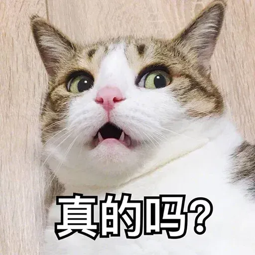 其中有我女友 - Sticker 17