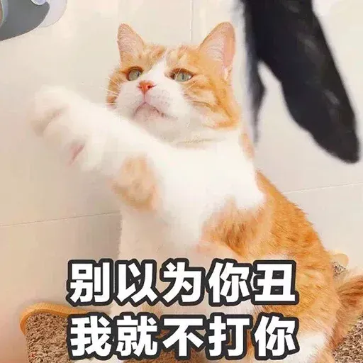 其中有我女友 - Sticker 21