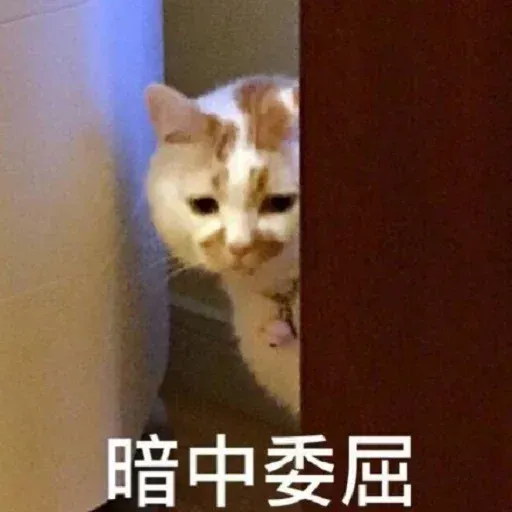 其中有我女友 - Sticker 27
