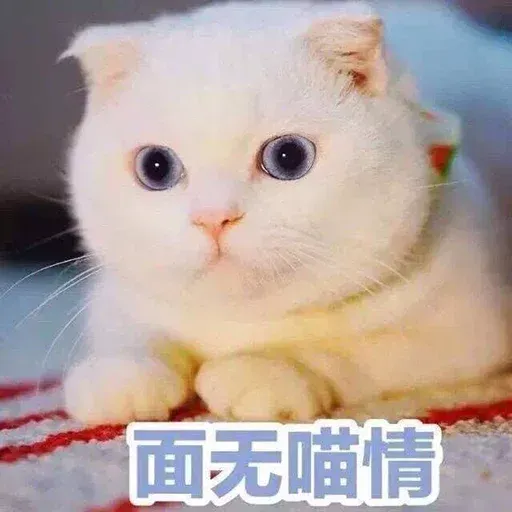 其中有我女友 - Sticker 14