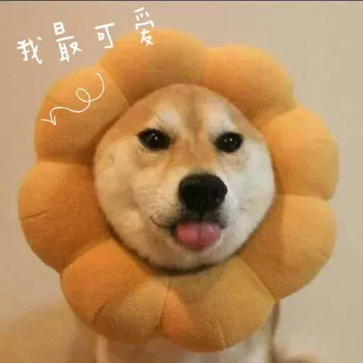 其中有我女友 - Sticker 29