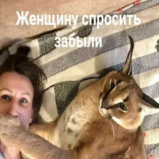 шлёпанцы - Sticker 15