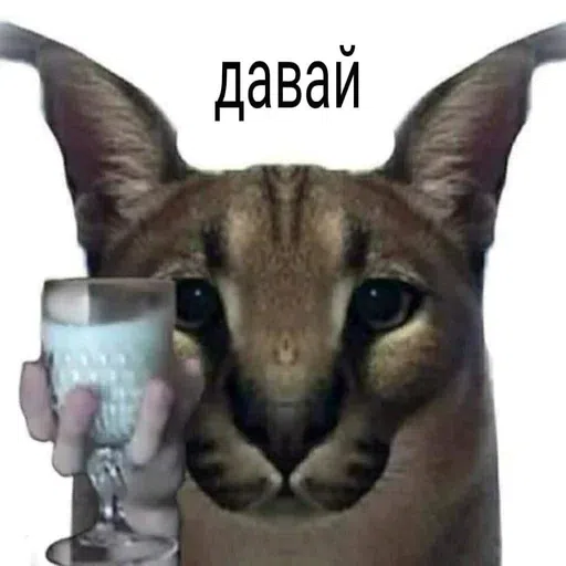 шлёпанцы - Sticker 10