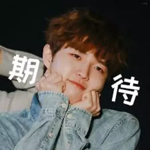 wanna one - Sticker 10