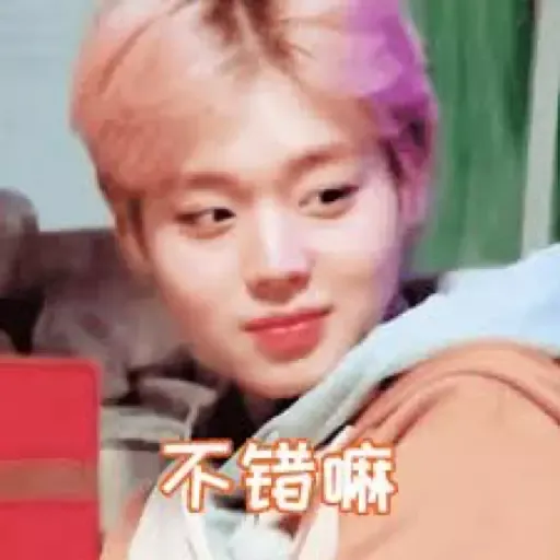 wanna one - Sticker 14