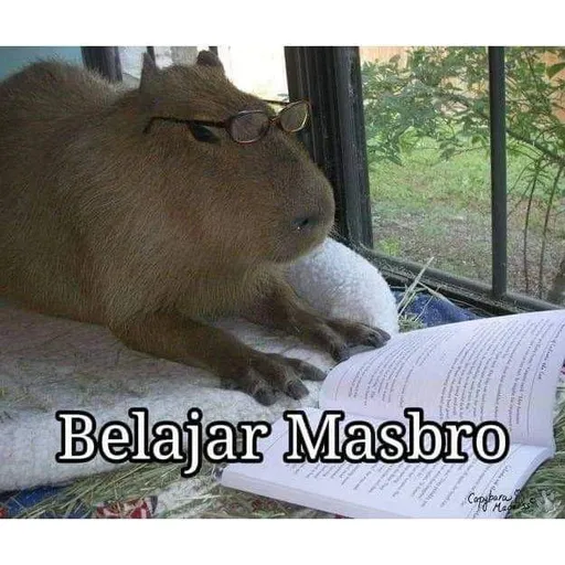 Masbro - Sticker