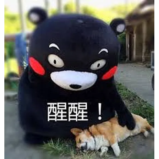 熊本熊 - Sticker 13