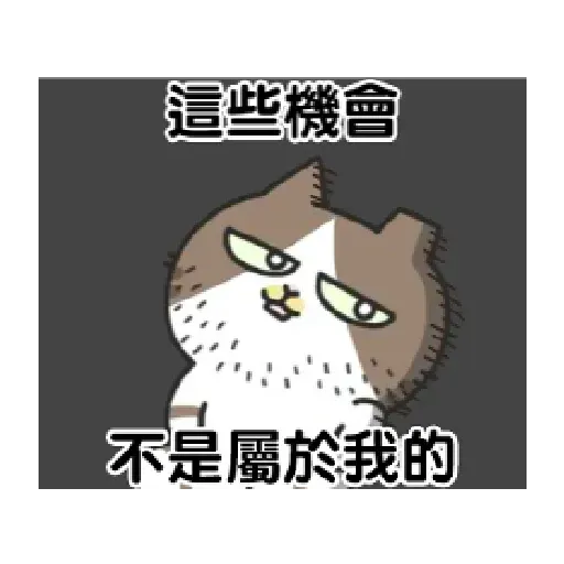 Catt - Sticker 28