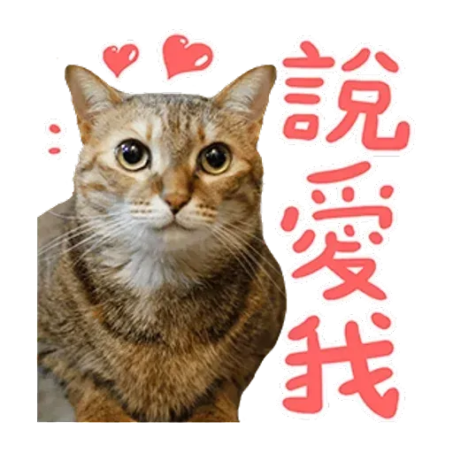 a ma - Sticker 13