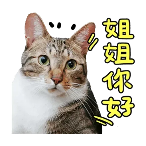a ma - Sticker 22