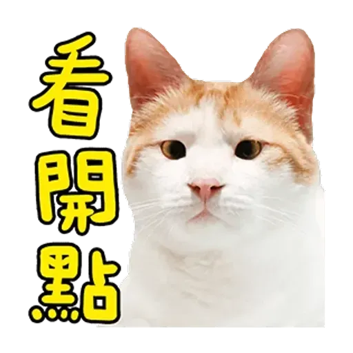 a ma - Sticker 20