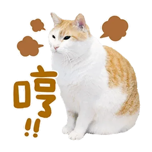 a ma - Sticker 19