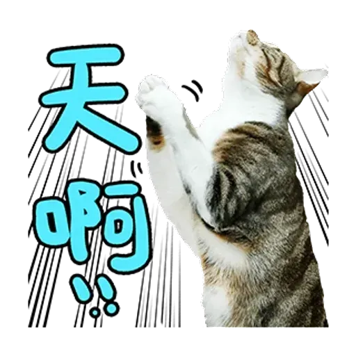 a ma - Sticker 10