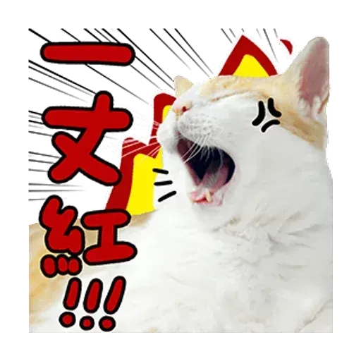 a ma - Sticker 12