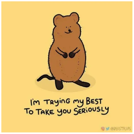 Random - Meong - Sticker 18