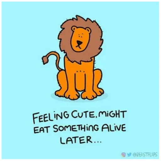 Random - Meong - Sticker 14