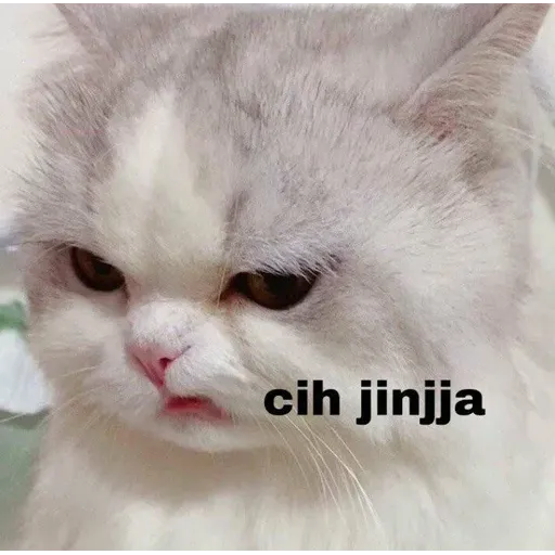 UCING-1 - Sticker 28