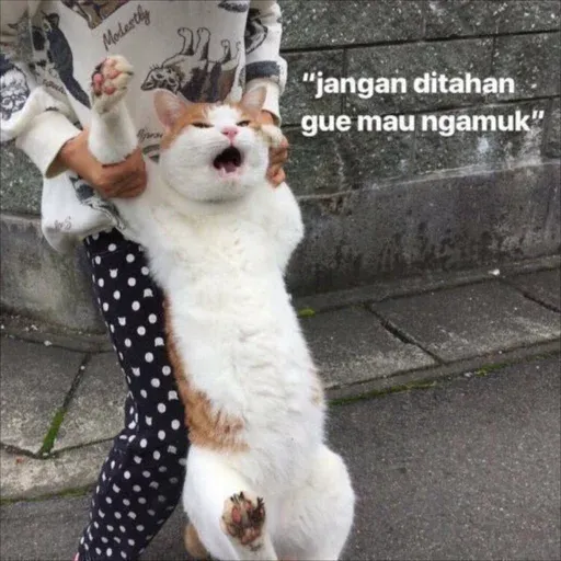 UCING-1 - Sticker 16