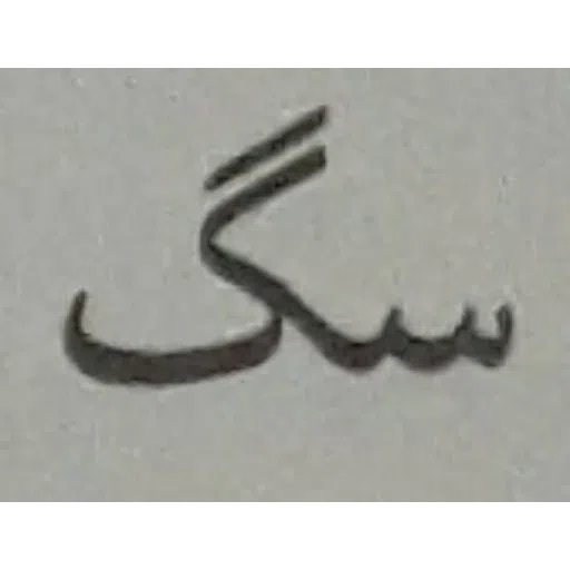Dini - Sticker 15