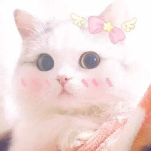 Meme - Sticker 11
