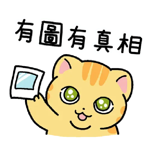 柑柑貓 香港潮語 - Sticker 15