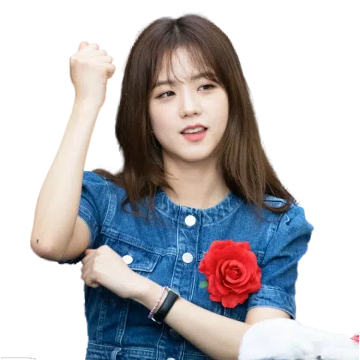 jisoo💗 - Sticker 16