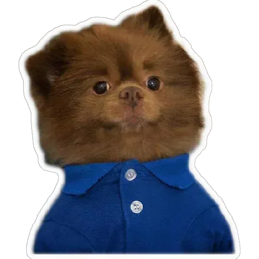 Pack4 - Sticker 29