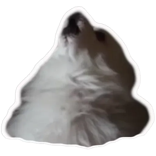 Pack4 - Sticker 10
