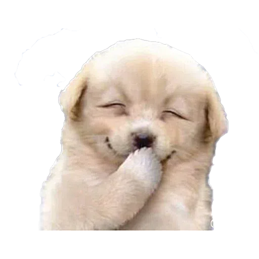 Allo - Sticker 27
