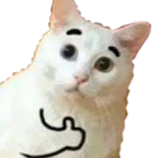 4 - Sticker 24