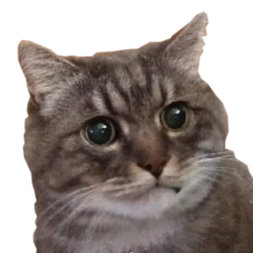 4 - Sticker 26
