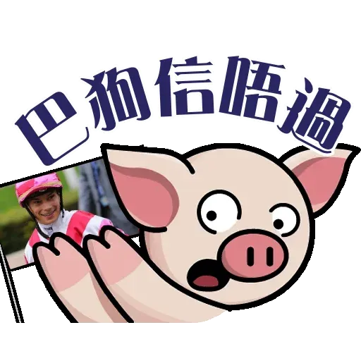 betballpig2 - Sticker 24