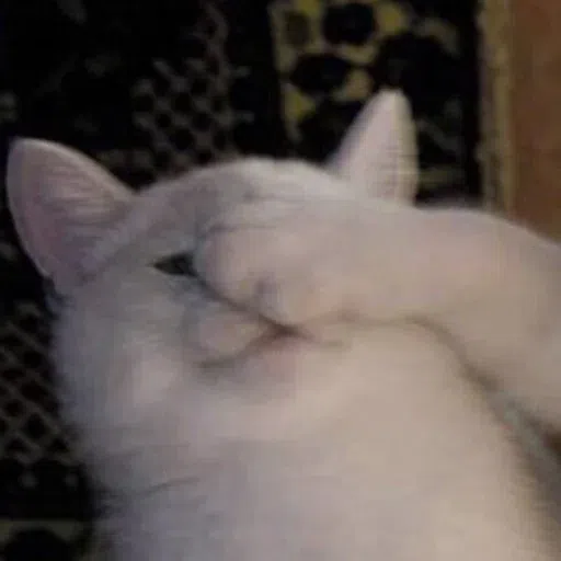 cutecat - Sticker 11