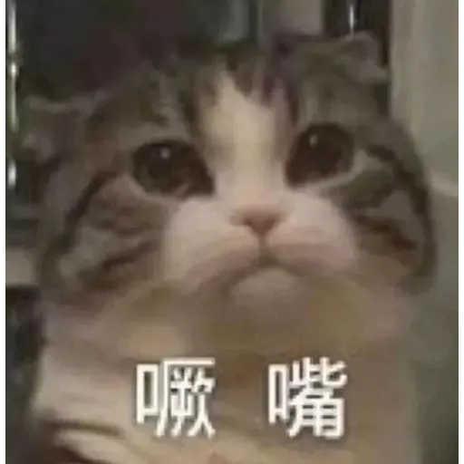 仙女可可愛愛 - Sticker 21