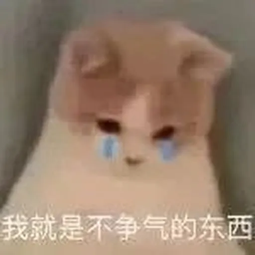 仙女可可愛愛 - Sticker 20