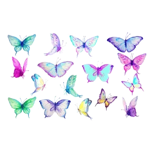 Rangi - Sticker 26