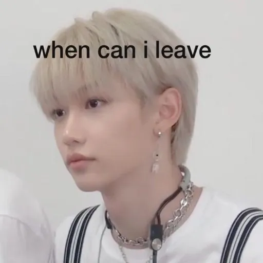 SKZ 💚 - Sticker 12